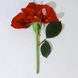 Single red rose with green stem on a white background