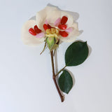 Floral arrangement with white flowers, red berries, and green leaves on a light gray background