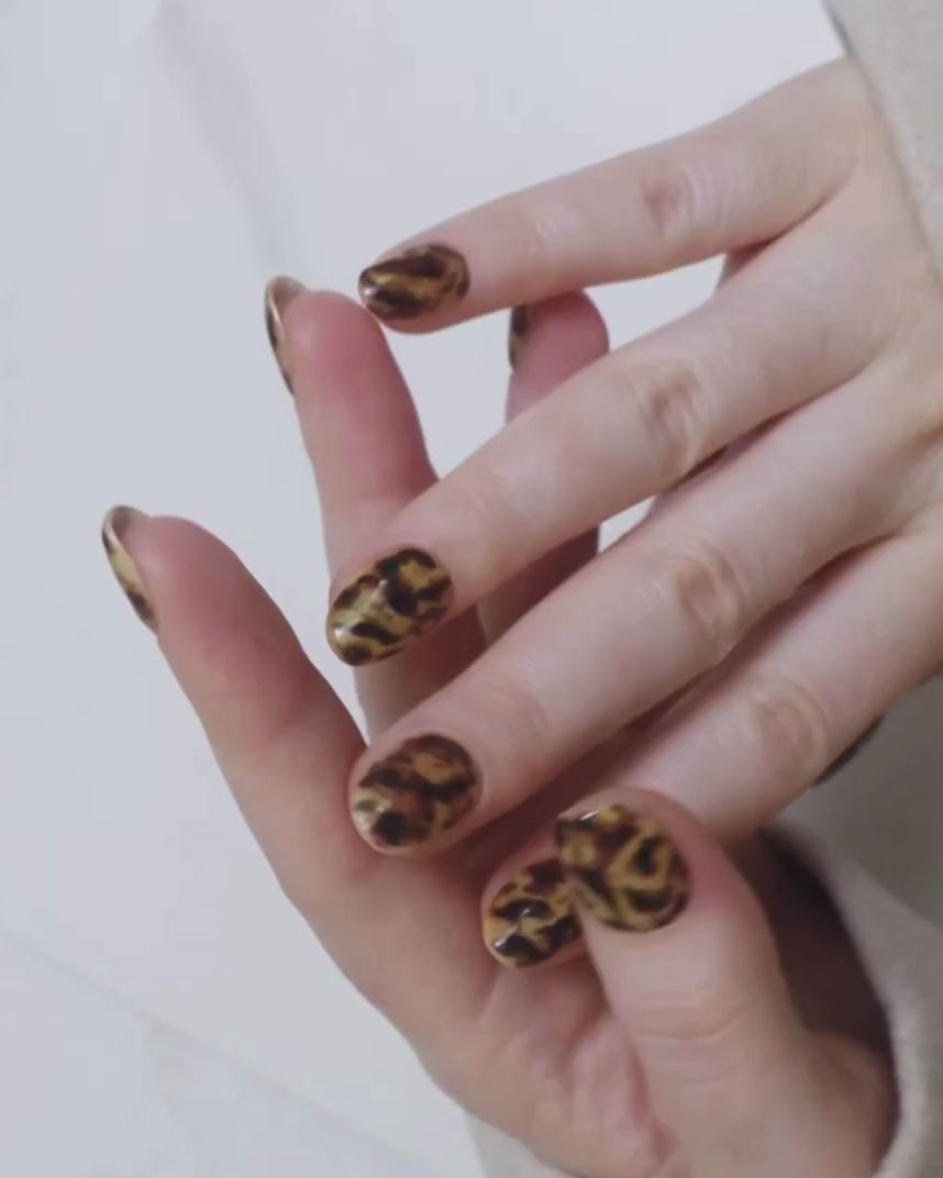 Inglass nails classic tortoiseshell nails. Tortoiseshell nail art. Fall 2025 nails. Reusable nail extensions set. 